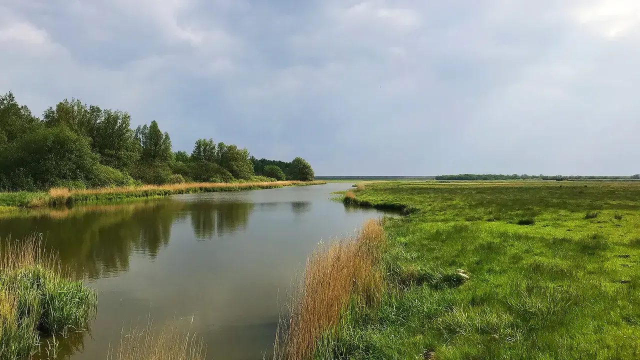 Idyllische Flusslandschaft mit grünen Wiesen und Bäumen, perfekt für eine Wanderung in Schleswig-Holstein.
