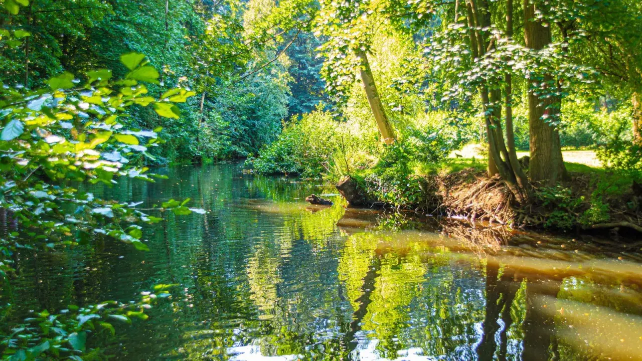 Idyllischer Bachlauf im Grünen, perfekt für eine entspannte Wanderung in Hamburg.
