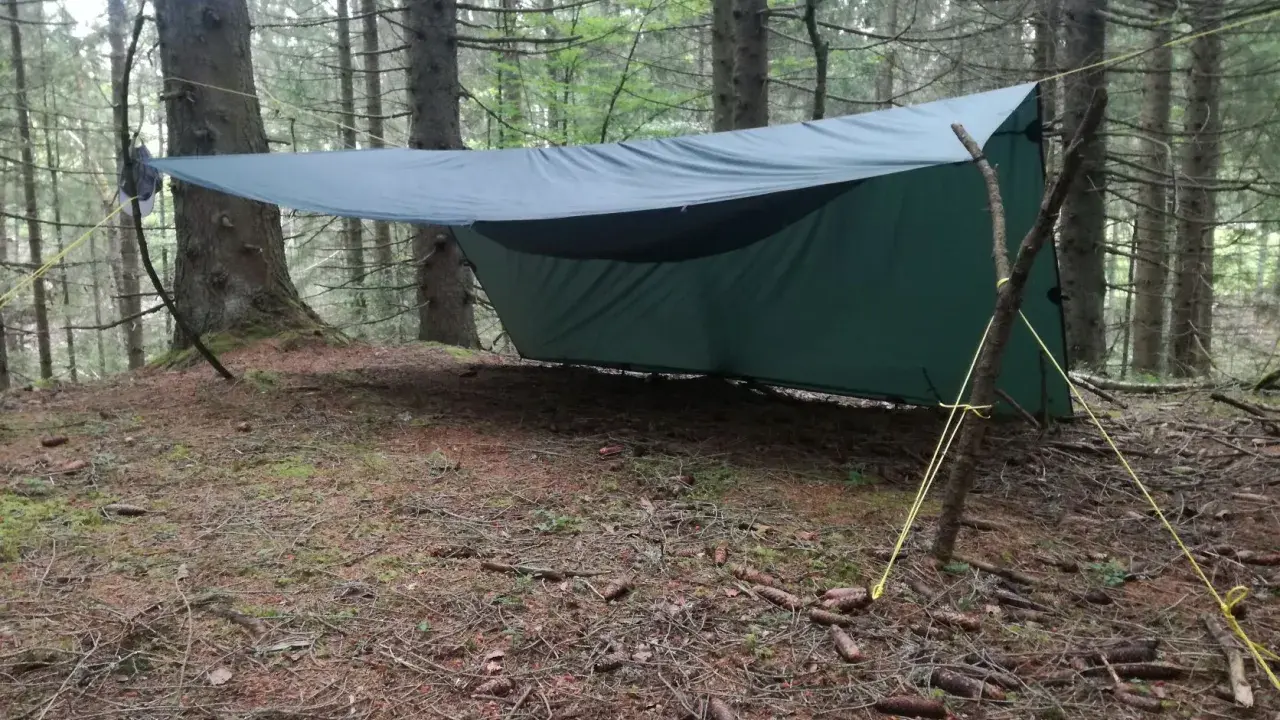 Ein grünes Tarp-Setup mit Hängematte zwischen Bäumen im Wald. Gelbe Seile sichern das Ganze.