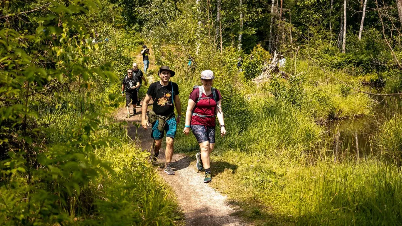 Gruppe wandert auf einem schmalen Pfad durch üppiges Grün. Die Sonne scheint, und die Natur lädt zu entspannten spiele beim wandern ein.