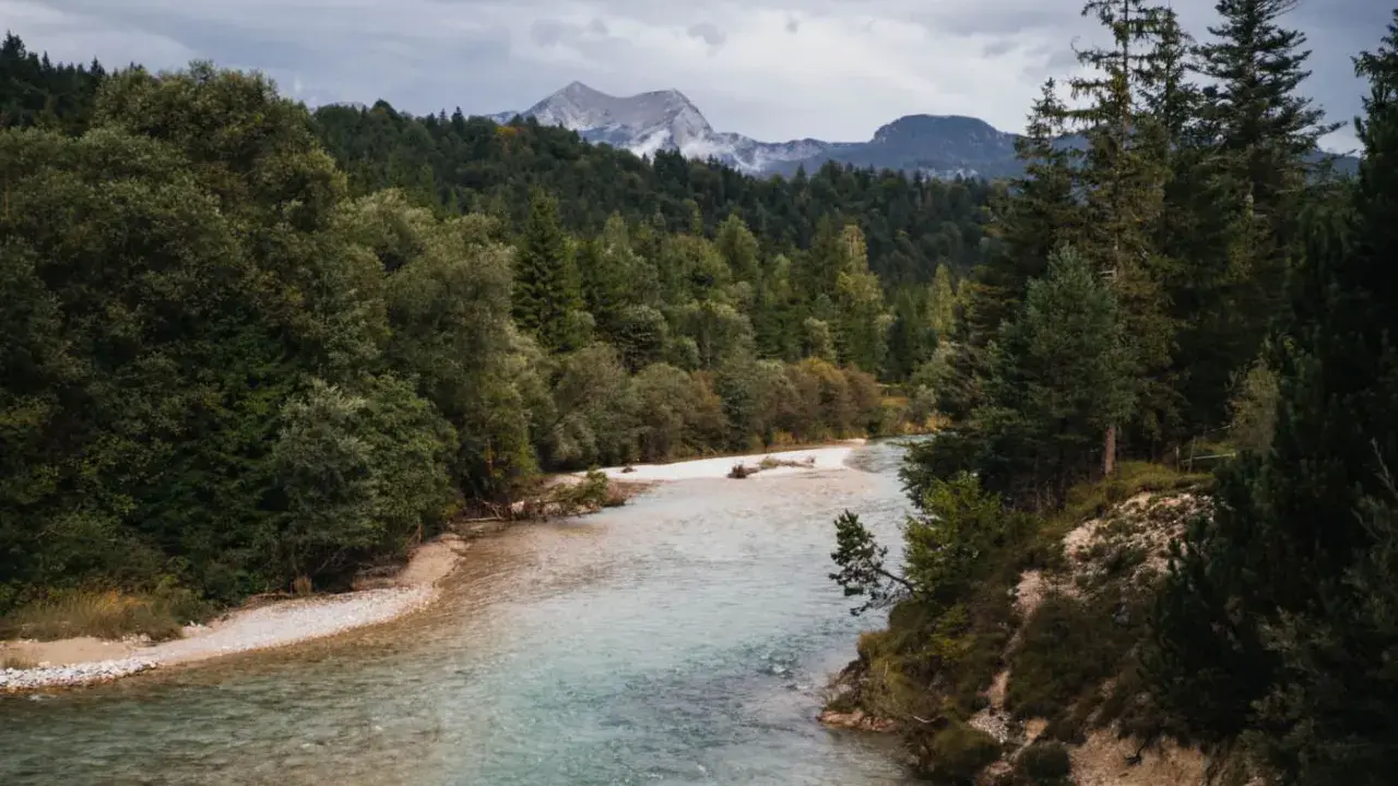 Ein Fluss mit klarem Wasser schlängelt sich durch einen Wald. Im Hintergrund erheben sich Berge unter einem bewölkten Himmel. Perfekt zum Wandern an der Isar.