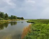 Idyllische Flusslandschaft mit grünen Wiesen und Bäumen, perfekt für eine Wanderung in Schleswig-Holstein.