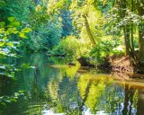 Idyllischer Bachlauf im Grünen, perfekt für eine entspannte Wanderung in Hamburg.