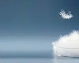 Ein Haufen weißer Daunen in einer Petrischale, eine einzelne Daune schwebt darüber. Sie fragen sich, was sind Daunen? Das sind sie!
