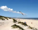 Möwen kreisen über einem sonnigen Strand mit Dünen und Menschen, ein typisches Bild der Nordseeinseln.