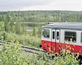 Roter und weißer schwedischer Zug fährt durch eine üppige Landschaft mit einem Schild "Arctic Circle".