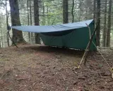 Ein grünes Tarp-Setup mit Hängematte zwischen Bäumen im Wald. Gelbe Seile sichern das Ganze.