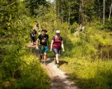 Gruppe wandert auf einem schmalen Pfad durch üppiges Grün. Die Sonne scheint, und die Natur lädt zu entspannten spiele beim wandern ein.