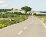 Eine Straße schlängelt sich durch die toskanische Landschaft. Perfekt, um die nächste **europa reise planen** und die Schönheit Italiens zu entdecken.