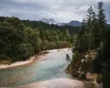 Ein Fluss mit klarem Wasser schlängelt sich durch einen Wald. Im Hintergrund erheben sich Berge unter einem bewölkten Himmel. Perfekt zum Wandern an der Isar.