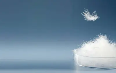Ein Haufen weißer Daunen in einer Petrischale, eine einzelne Daune schwebt darüber. Sie fragen sich, was sind Daunen? Das sind sie!