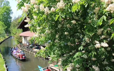 Blühende Kastanienbäume säumen den Kanal, auf dem ein Kahnbus und Kanus fahren. Ein idyllisches Bild der Spreewald Ausflugsziele.