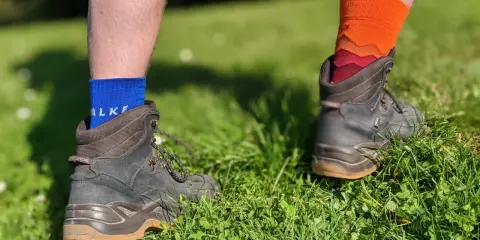 Falke TK1, TK2, TK3, TK4 Socken in Blau und Orange, getragen mit Wanderschuhen im Gras.