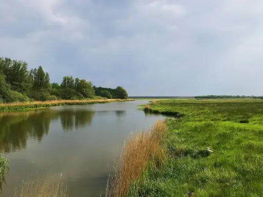 Idyllische Flusslandschaft mit grünen Wiesen und Bäumen, perfekt für eine Wanderung in Schleswig-Holstein.