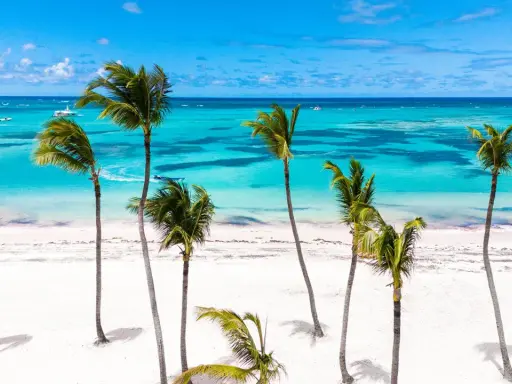 Traumhafter Strand mit Palmen und türkisfarbenem Meer. Perfekt für einen kurzurlaub im November.
