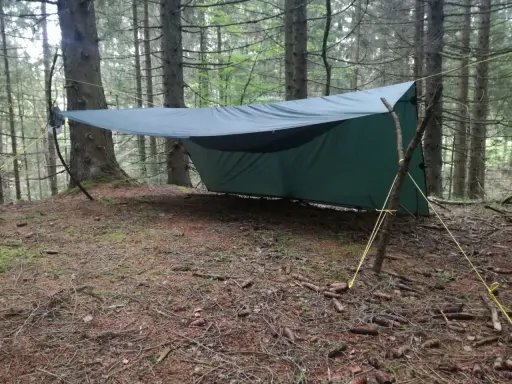 Ein grünes Tarp-Setup mit Hängematte zwischen Bäumen im Wald. Gelbe Seile sichern das Ganze.