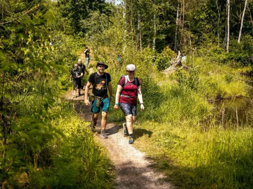 Gruppe wandert auf einem schmalen Pfad durch üppiges Grün. Die Sonne scheint, und die Natur lädt zu entspannten spiele beim wandern ein.