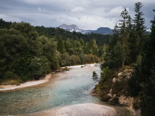 Ein Fluss mit klarem Wasser schlängelt sich durch einen Wald. Im Hintergrund erheben sich Berge unter einem bewölkten Himmel. Perfekt zum Wandern an der Isar.
