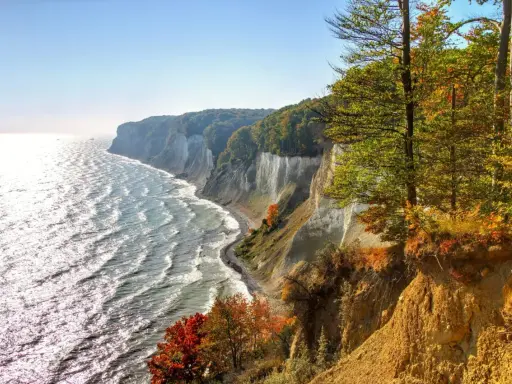 Weiße Kreidefelsen und bunte Herbstbäume säumen die Ostsee. Ein malerischer Ort an der Küste.