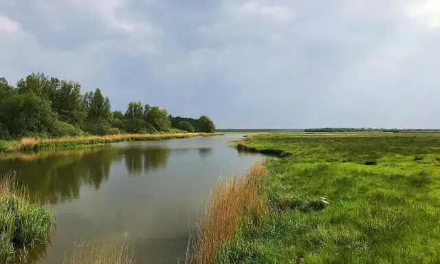 Idyllische Flusslandschaft mit grünen Wiesen und Bäumen, perfekt für eine Wanderung in Schleswig-Holstein.
