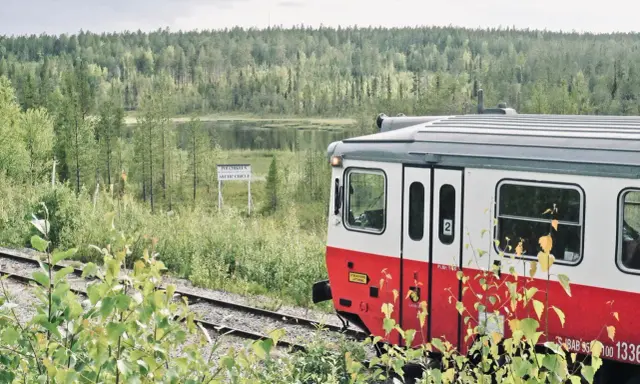 Roter und weißer schwedischer Zug fährt durch eine üppige Landschaft mit einem Schild "Arctic Circle".