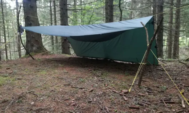 Ein grünes Tarp-Setup mit Hängematte zwischen Bäumen im Wald. Gelbe Seile sichern das Ganze.