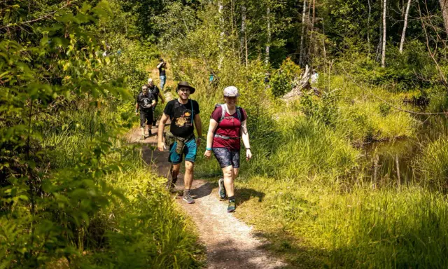 Gruppe wandert auf einem schmalen Pfad durch üppiges Grün. Die Sonne scheint, und die Natur lädt zu entspannten spiele beim wandern ein.