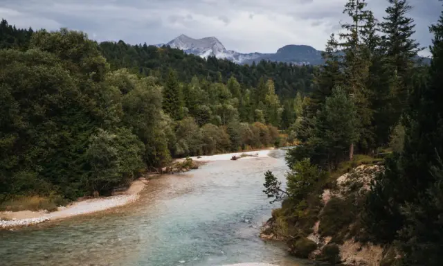 Ein Fluss mit klarem Wasser schlängelt sich durch einen Wald. Im Hintergrund erheben sich Berge unter einem bewölkten Himmel. Perfekt zum Wandern an der Isar.