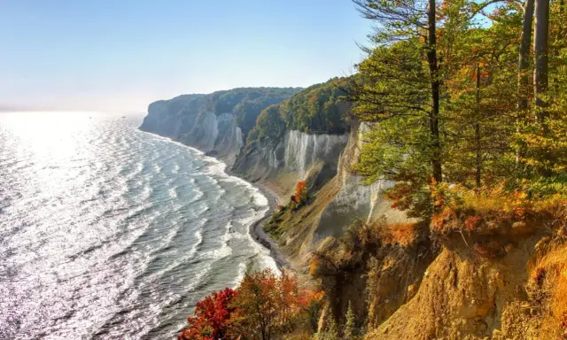 Weiße Kreidefelsen und bunte Herbstbäume säumen die Ostsee. Ein malerischer Ort an der Küste.