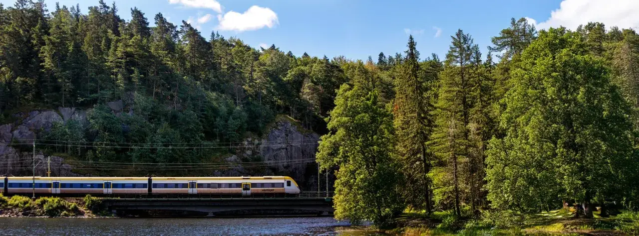 Gelber Zug f&auml;hrt &uuml;ber eine Br&uuml;cke durch eine gr&uuml;ne, bewaldete Landschaft. Ein denmark train, das durch die Natur gleitet.