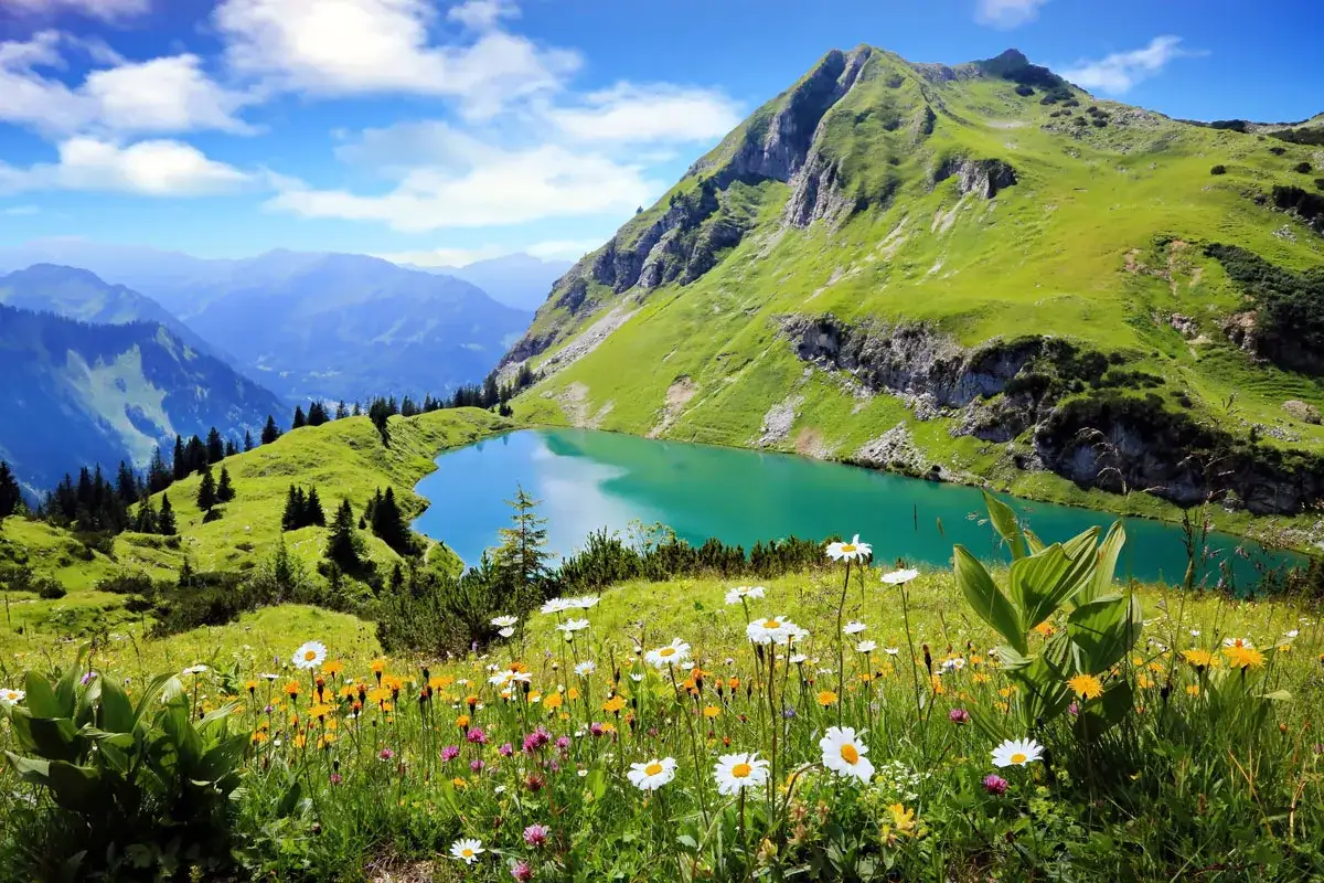 Blumenwiese mit Bergsee und grünen Hängen, ideal für rundwanderwege oberstdorf.