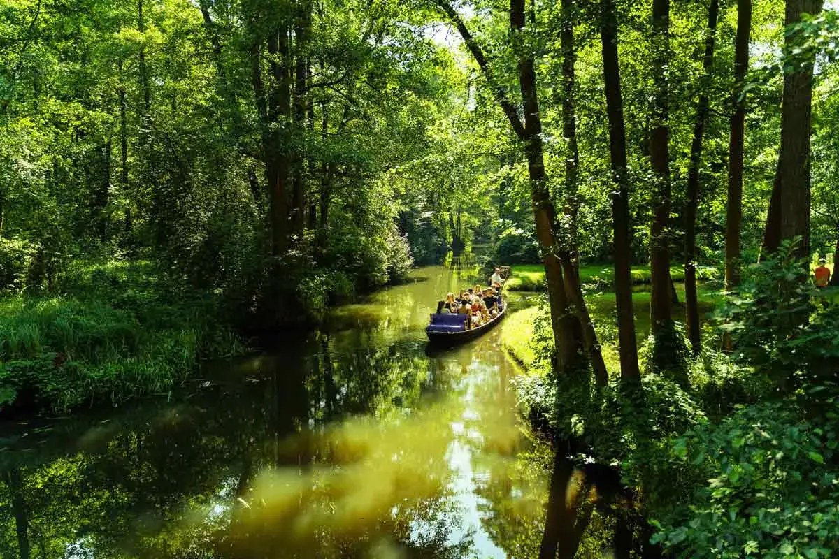 Bootsfahrt durch den Spreewald, ein ideales Ausflugsziel. Gr&uuml;ne Ufer und B&auml;ume s&auml;umen den Fluss, auf dem ein Kahn mit vielen Besuchern f&auml;hrt.