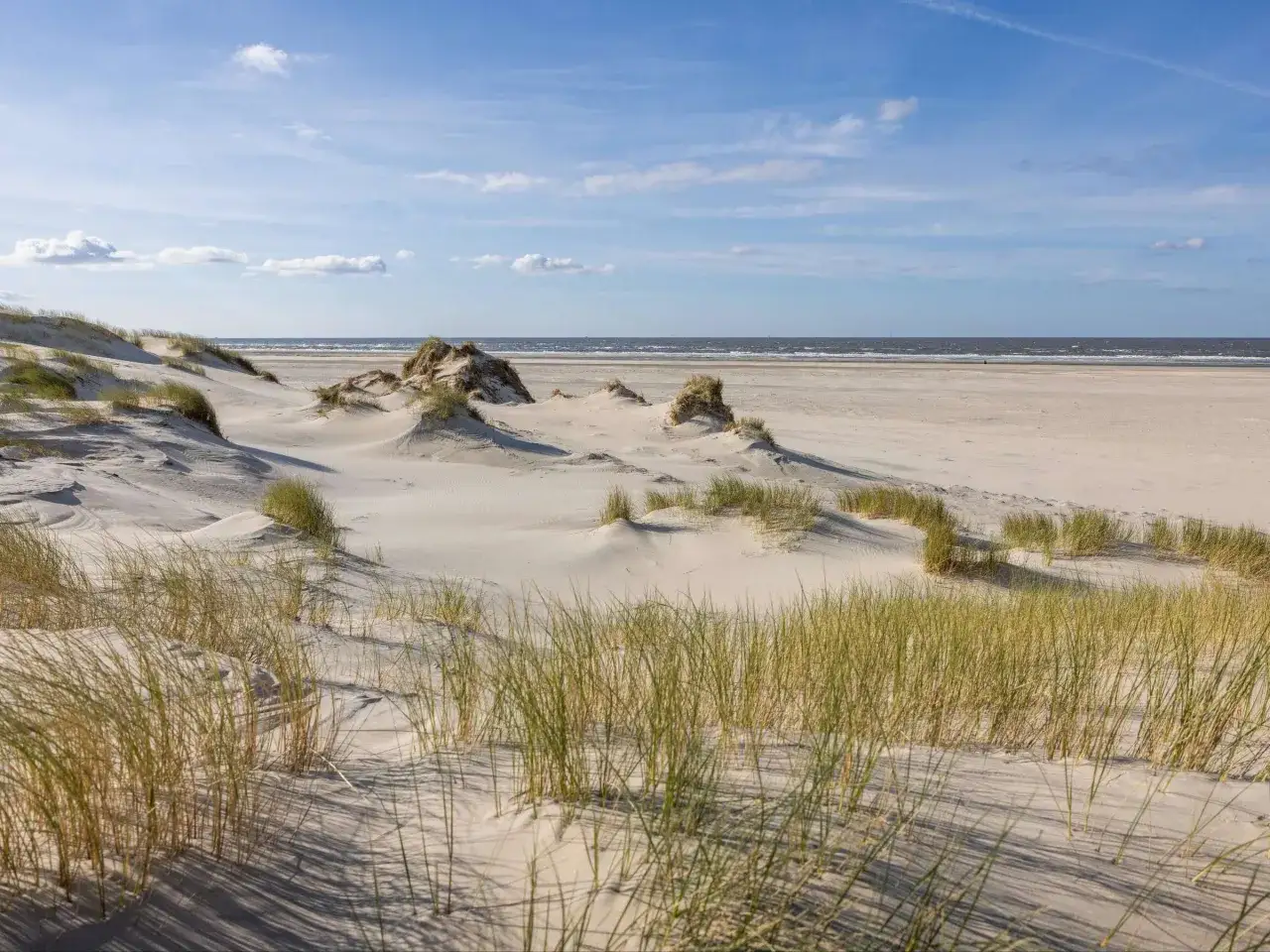 Dünenlandschaft mit Strandhafer und dem Meer im Hintergrund, typisch für die Nordseeinseln.