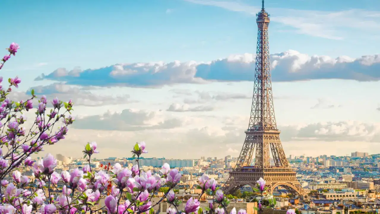 Eiffelturm im Frühling, umgeben von blühenden Magnolien. Perfekt für romantische Paris Unternehmungen.