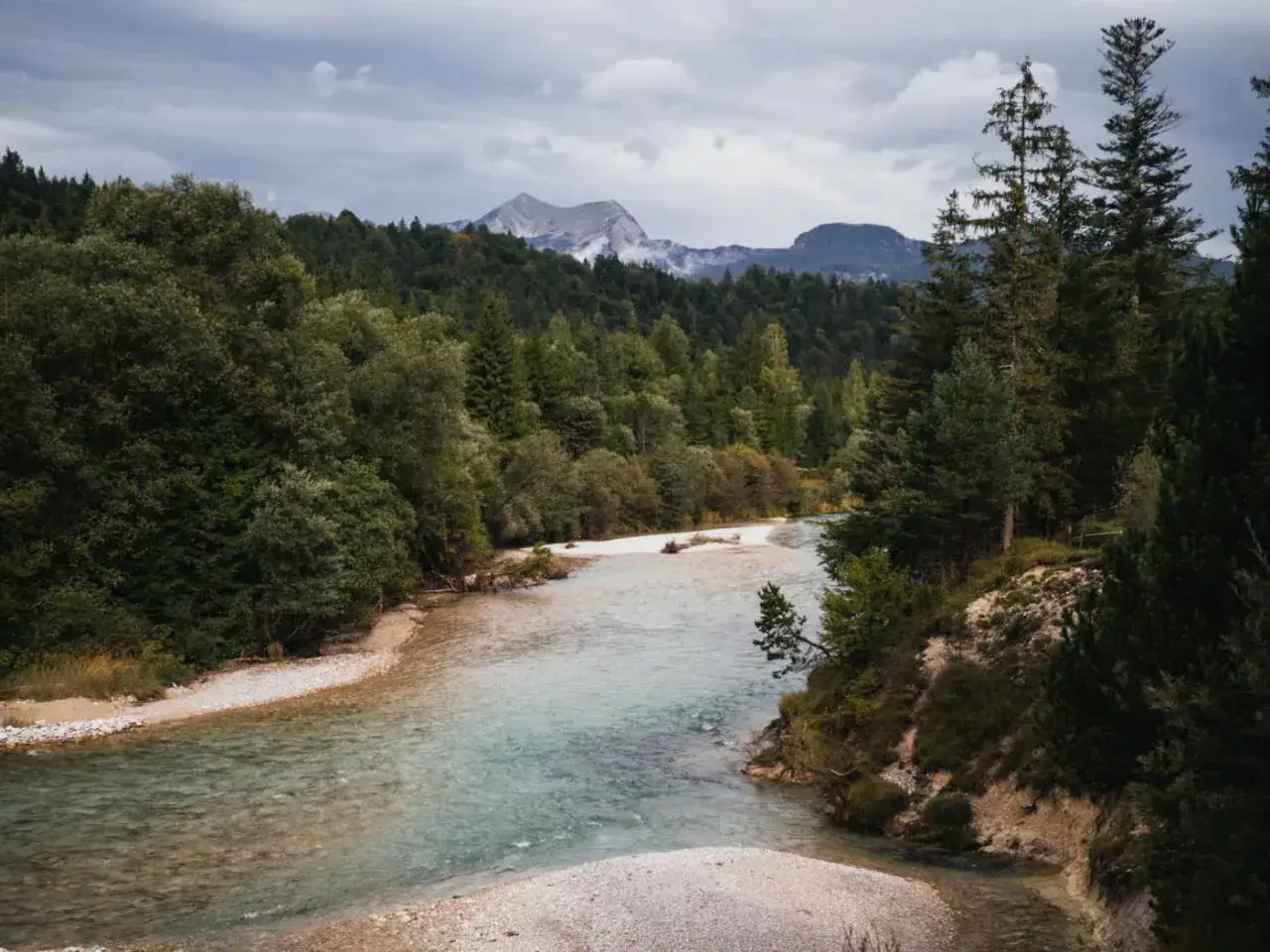 Ein Fluss mit klarem Wasser schlängelt sich durch einen Wald. Berge ragen im Hintergrund auf. Perfekt zum Wandern an der Isar.