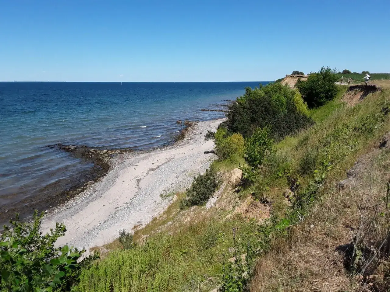 Ein sonniger Tag am Timmendorfer Strand. Die Ostsee glitzert, ein schmaler Kiesstrand lädt zum Spaziergang ein, während grüne Büsche die Steilküste säumen.