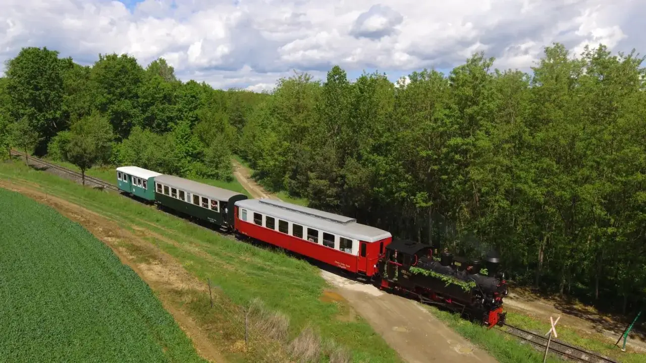 Ein historischer Ungarn Zug dampft durch eine gr&uuml;ne Landschaft, vorbei an Feldern und einem dichten Wald.