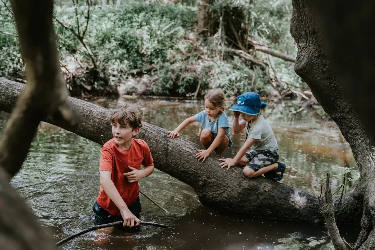Drei Kinder haben Spaß beim Wandern und spielen im Wasser auf einem Baumstamm.