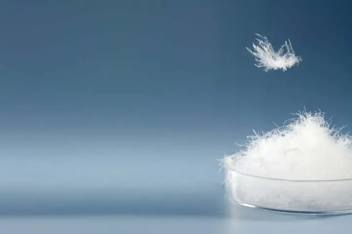 Ein Haufen weißer Daunen in einer Petrischale, eine einzelne Daune schwebt darüber. Sie fragen sich, was sind Daunen? Das sind sie!